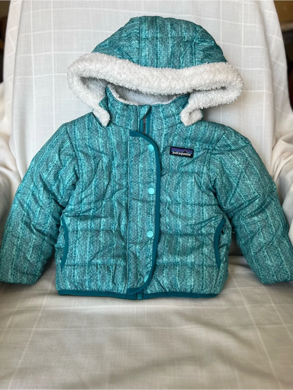 Patagonia Teal & White Reversible Hooded Jacket